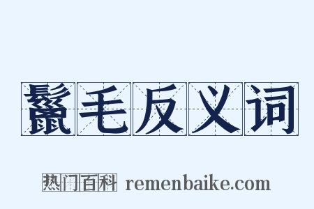 鬣毛反义词是什么意思的图片